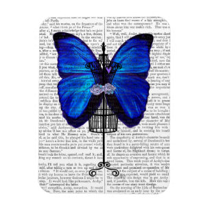 Magnet Flexible Papillon de bleu de mannequin