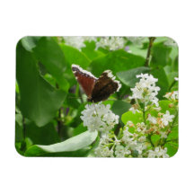 Papillon et aimant Lilac de printemps