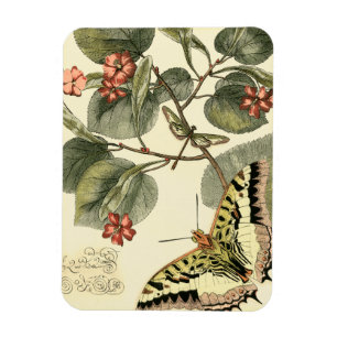 Magnet Flexible Papillon et libellule avec les fleurs rouges