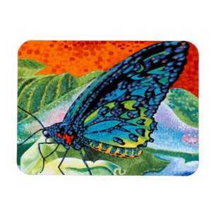 Magnet Flexible Papillon II