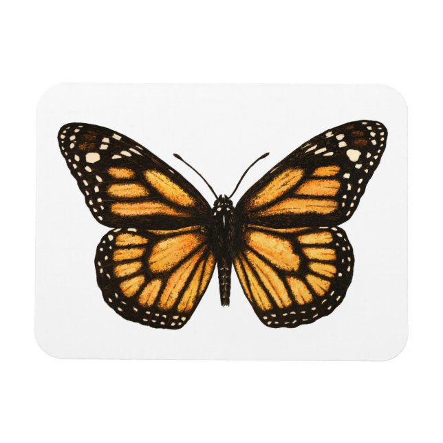 Magnet Flexible Papillon monarque (Horizontal)