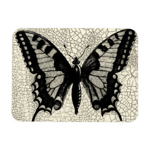 Magnet Flexible Papillon noir et blanc sur Arrière - plan fissuré