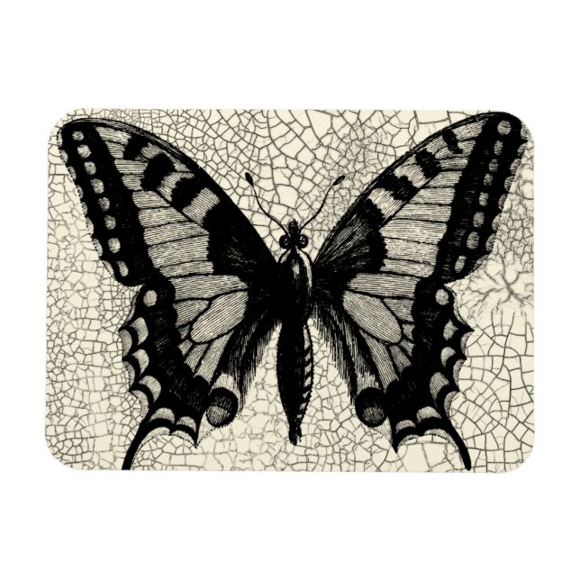 Magnet Flexible Papillon noir et blanc sur Arrière - plan fissuré (Horizontal)
