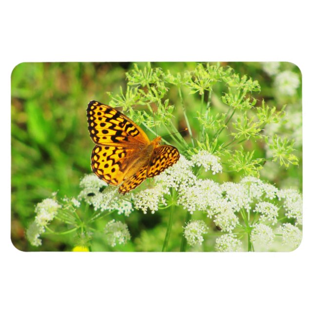 Magnet Flexible Papillon noir et orange sur Fleurs blanches (Horizontal)