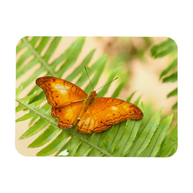Magnet Flexible Papillon orange Crusier (Horizontal)