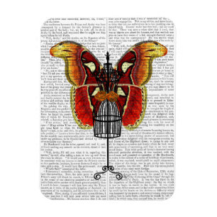 Magnet Flexible Papillon rouge et jaune de mannequin