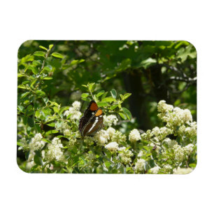 Magnet Flexible Papillon-soeur de Californie en Yosemite