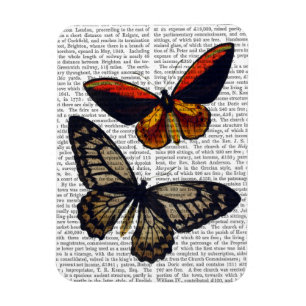Magnet Flexible Papillons 3