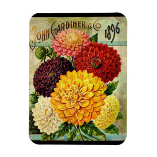 Magnet Flexible Paquet vintage de graines de fleurs - Aimant Flexi