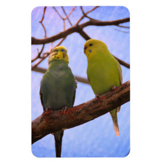 Magnet Flexible Parakeet Couple