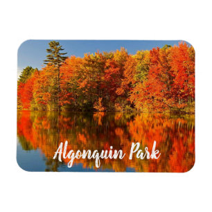Magnet Flexible Parc Algonquin Canada Automne stylisé