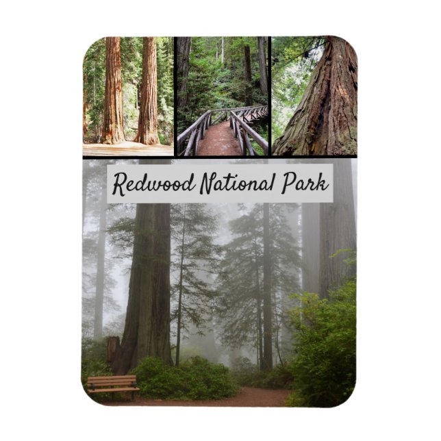 Magnet Flexible Parc national California Redwood Sequoia Trees (Vertical)