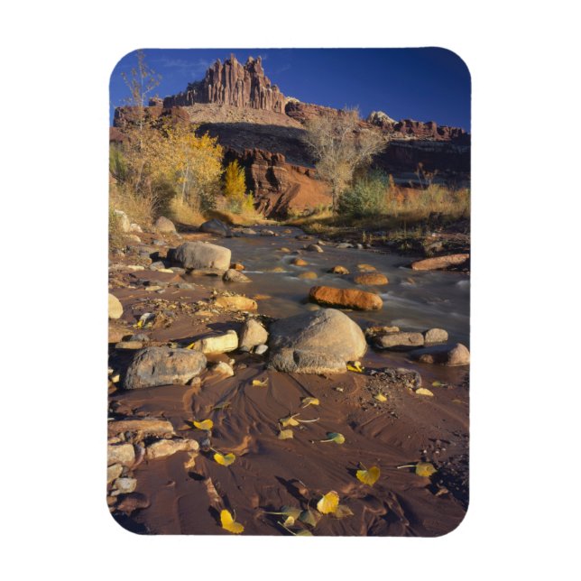 Magnet Flexible PARC NATIONAL DE CAPITOL REEF, UT, É.-U., Cottonwo (Vertical)