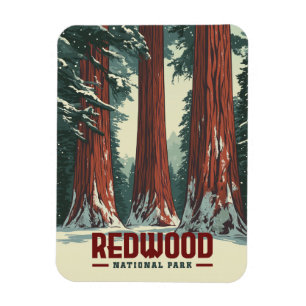 Magnet Flexible Parc national de Redwood - Californie Vintage