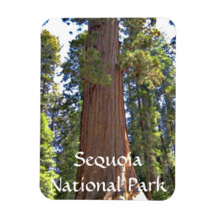Magnet Flexible Parc national de Sequoia