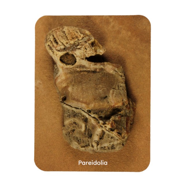 Magnet Flexible Pareidolia (Vertical)