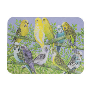 Magnet Flexible Parler doux