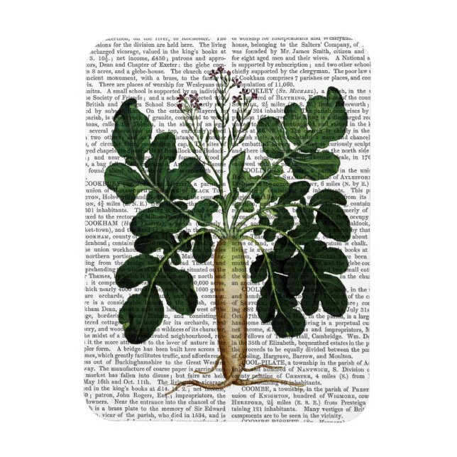 Magnet Flexible Parsnip 3 (Vertical)