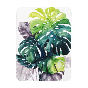 Magnet Flexible Paumes crépusculaires - feuille fendue