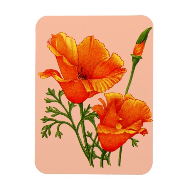 Magnet Flexible pavot de Californie (Vertical)