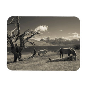 Magnet Flexible Paysage avec chevaux