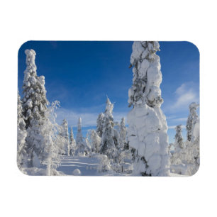Magnet Flexible Paysage d'hiver à Lappland