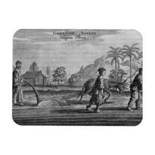 Magnet Flexible Paysans chinois, une description générale d'un