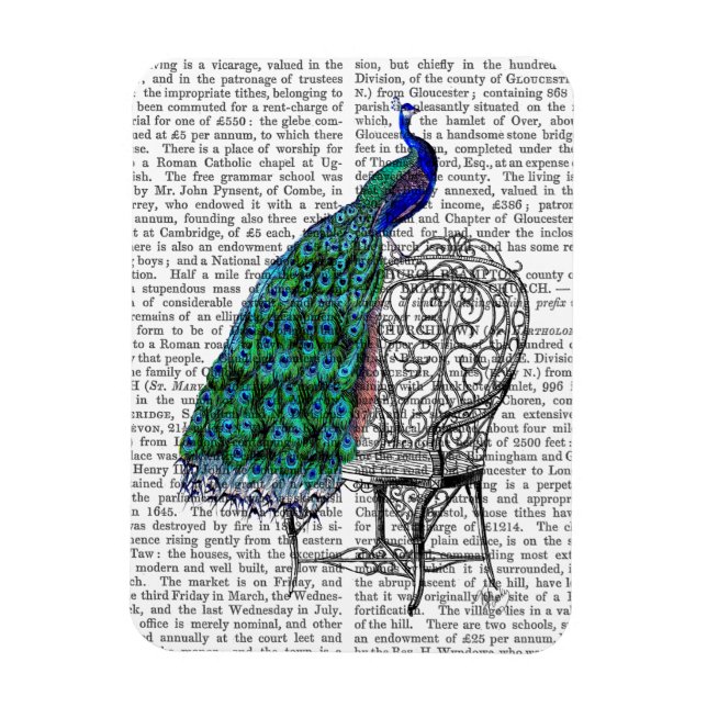 Magnet Flexible Peacock sur la chaise (Vertical)