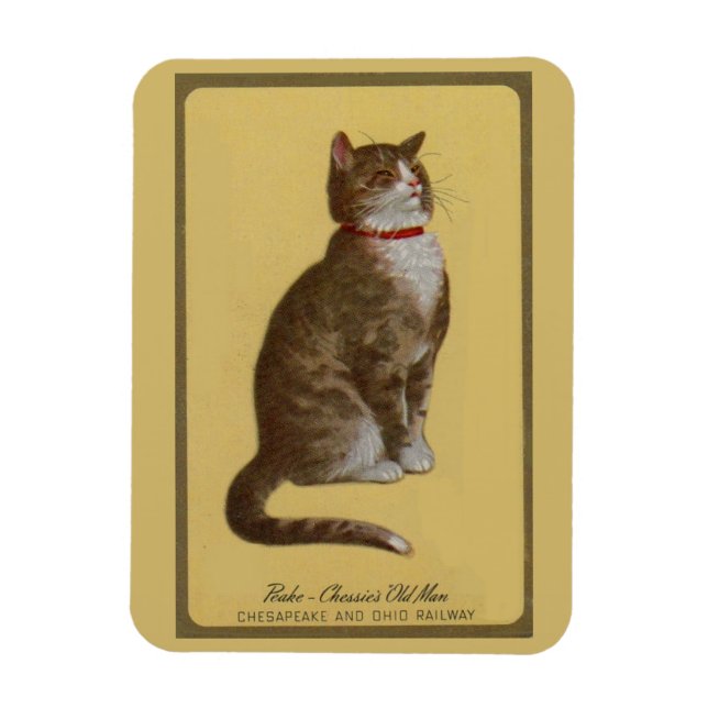 Magnet Flexible Peake, le chat tabby de Chessie (Vertical)