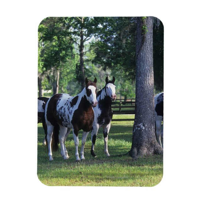 Magnet Flexible Peindre les chevaux dans les arbres (Vertical)