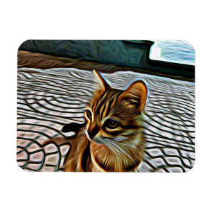Magnet Flexible Peinture Belle Chat