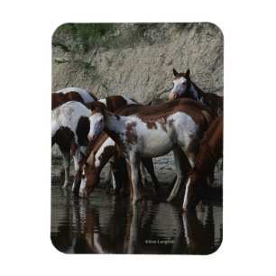 Magnet Flexible Peinture Chevaux Boire