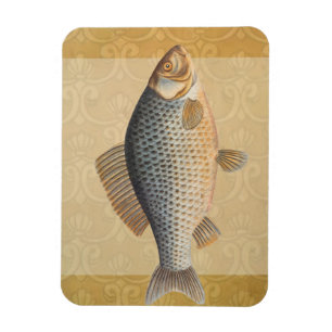 Magnet Flexible peinture de pêche de carpe dessin d'eau douce