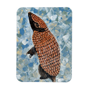 Magnet Flexible Peinture de Tatou