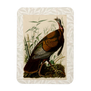 Magnet Flexible Peinture d'oiseaux sauvages de Turquie Audubon