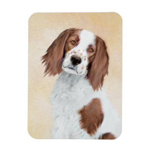 Magnet Flexible Peinture en Setter rouge et blanc irlandais - Art