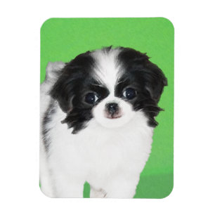 Magnet Flexible Peinture japonaise de chiot - Art original de chie