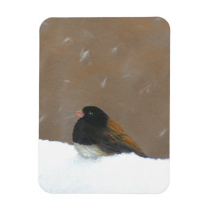 Magnet Flexible Peinture Junco foncée - Art original pour oiseaux