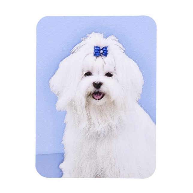 Magnet Flexible Peinture maltaise - Joli art original pour chien (Vertical)