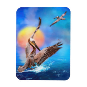 Magnet Flexible Pélicans Brown SOLEIL KISSEE PELICAN ISLAND