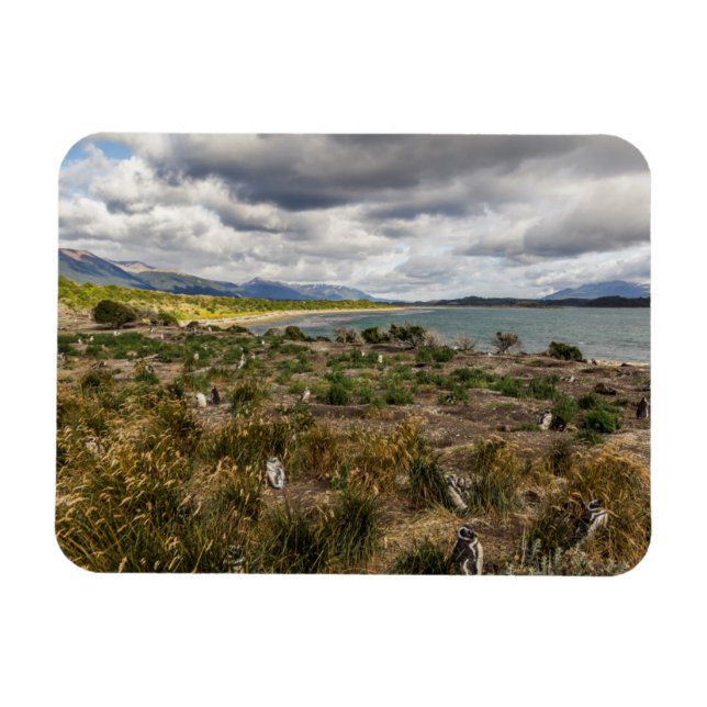 Magnet Flexible Penguinera (Horizontal)