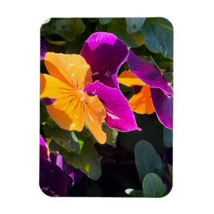 Magnet Flexible Pensée orange et violet