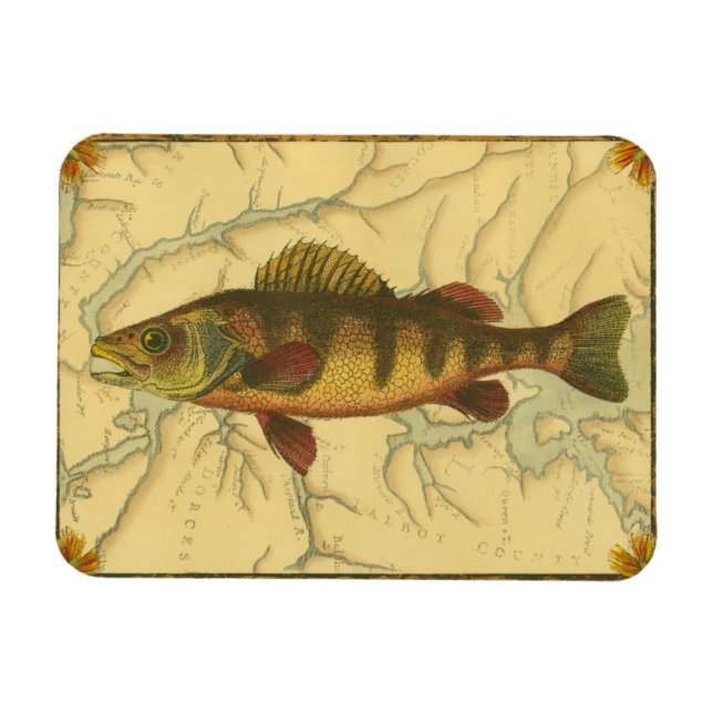 Magnet Flexible Perle jaune sur la carte (Horizontal)