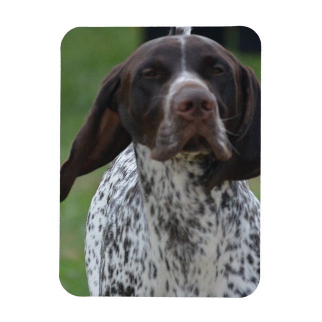 Magnet Flexible Personnaliser (Vertical)