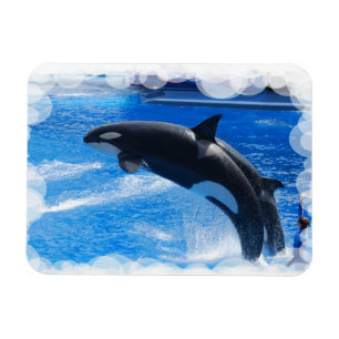 Magnet Flexible Personnaliser