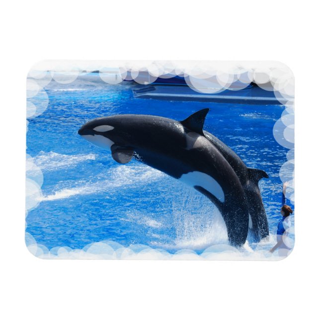 Magnet Flexible Personnaliser (Horizontal)