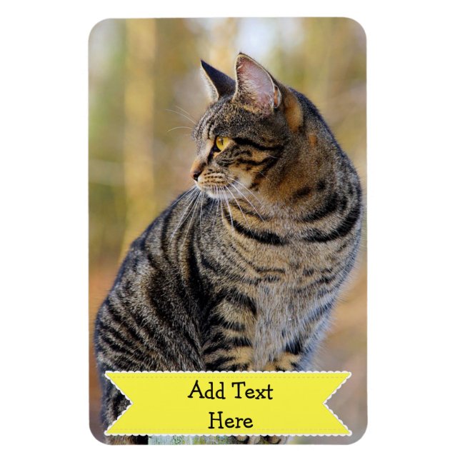 Magnet Flexible Personnaliser d'un animal de compagnie - Photo Mag (Vertical)