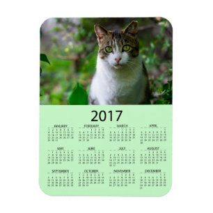 Magnet Flexible Personnalisez ce mini calendrier de la photo 2017