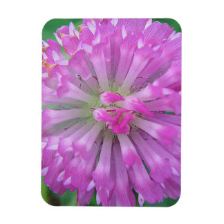 Magnet Flexible Pétales roses