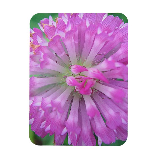 Magnet Flexible Pétales roses (Vertical)